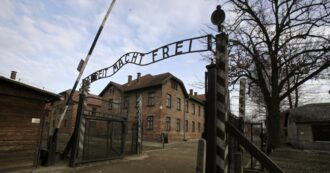 Copertina di L’account del Museo di Auschwitz continua a perdere followers, l’appello: “Aiutaci a mantenere viva la memoria”