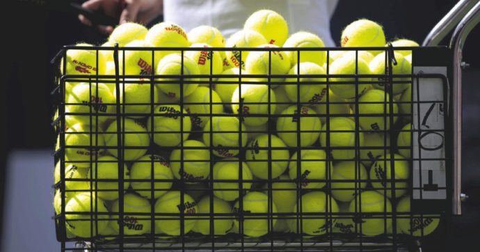 Il rovescio del tennis: l’Oriente deforestato per produrre 330 milioni di palle all’anno