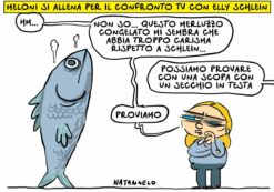 Copertina di La vignetta di Natangelo