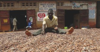 Copertina di Contadini africani, operai belgi e altre storie legate al caro-cacao