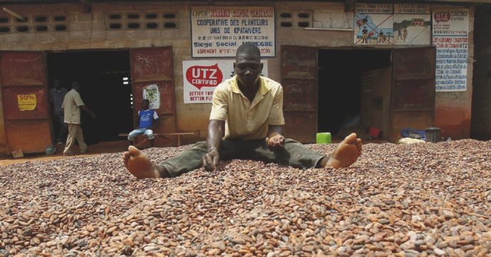 Copertina di Contadini africani, operai belgi e altre storie legate al caro-cacao