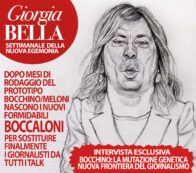 Copertina di La vignetta di Mannelli