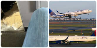 Copertina di “La puzza non andava via”, i bisognini di un cane in un aereo provocano l’atterraggio di emergenza