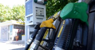 Copertina di Biocarburanti dopo il 2035: “Pressioni sull’Ue, ma vanno macellati 120 maiali per alimentare un’auto per un anno”