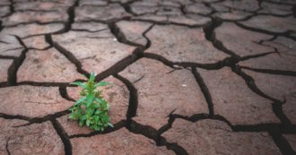 Siccità, 2 relazioni e poco altro: l’anno del super-commissario