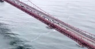 Copertina di San Francisco, il Golden Gate Bridge bloccato da manifestanti pro-Gaza: la polizia porta via le persone – Video