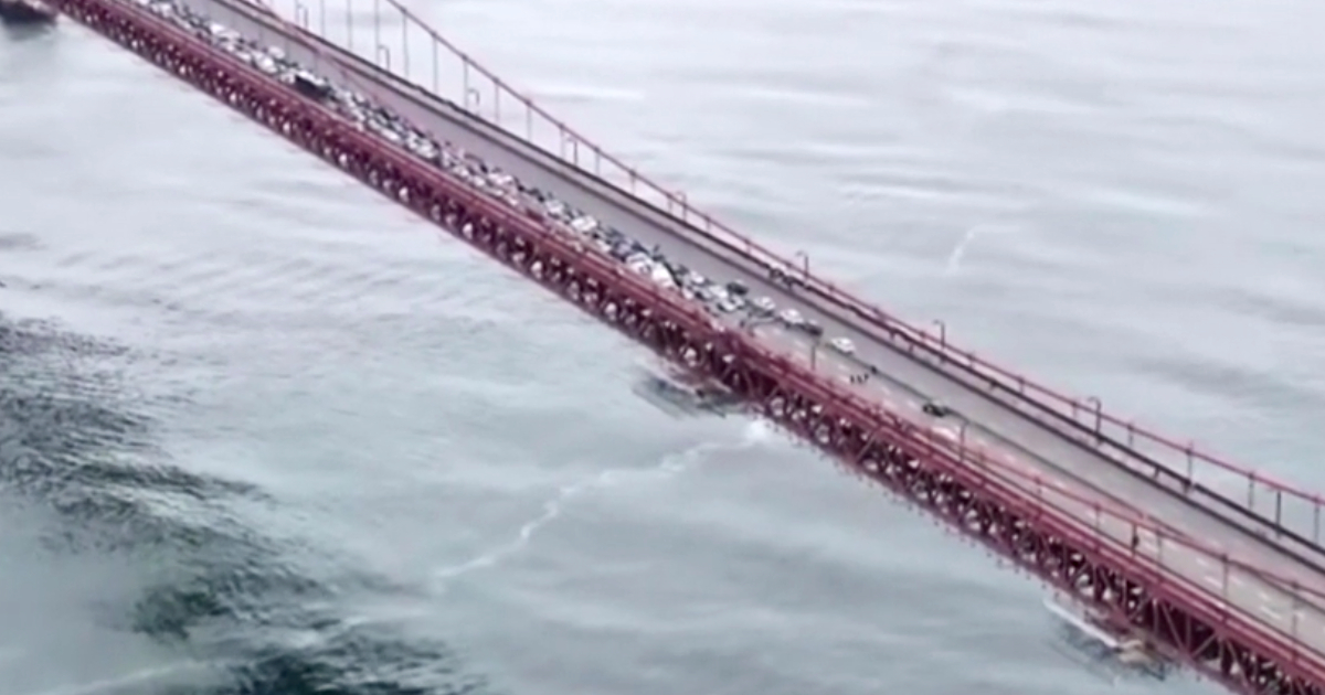 San Francisco, il Golden Gate Bridge bloccato da manifestanti pro Gaza: la polizia porta via le persone – Video