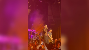 Copertina di Un fan fa irruzione sul palco durante il concerto di Mahmood a Stoccarda: il cantante reagisce così – Video