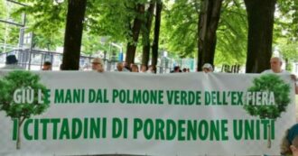 Copertina di Pordenone, un agronomo regala 125 alberi agli attivisti che hanno lottato per salvare i tigli. Ma il sindaco non gradisce: “Provocazione”