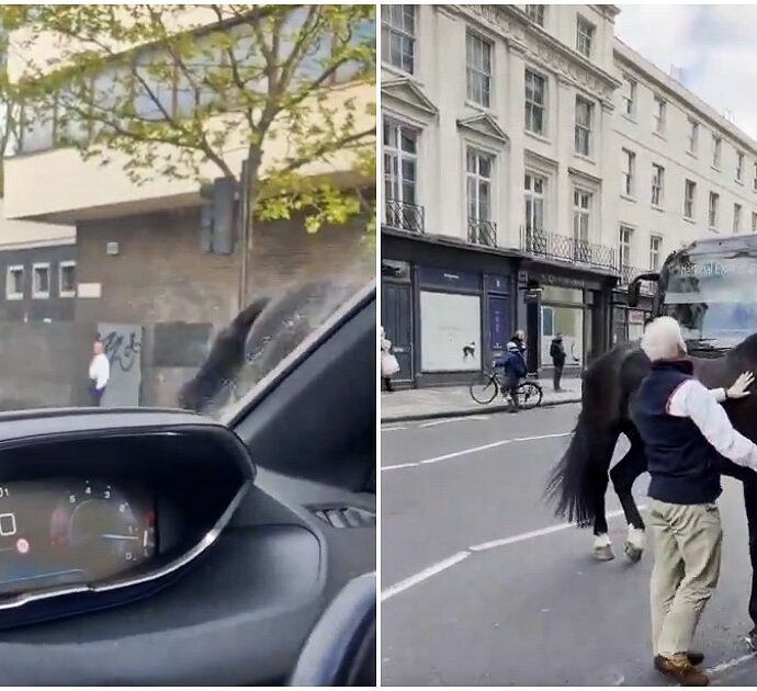Londra, cavalli dell’esercito britannico scappano e scatenano il caos nelle strade della città: quattro persone ferite