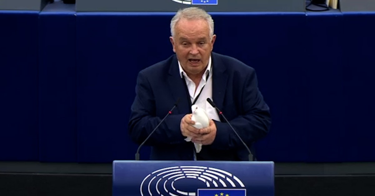 Eurodeputato slovacco libera una colomba nel Parlamento Ue: “Un messaggio di pace”. Imbarazzo in Aula: “Riuscite a catturarla?”