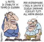 Copertina di La vignetta di Franzaroli