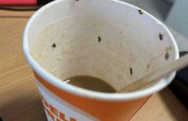 Copertina di Prende un caffè dal distributore automatico ma è pieno di insetti: va in shock anafilattico e rischia la vita