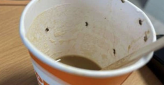 Copertina di Prende un caffè al distributore dell’aeroporto ma dentro ci sono degli insetti: 21enne in terapia intensiva
