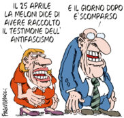 Copertina di La vignetta di Franzaroli