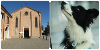 Copertina di “Fuori i cani, i fattucchieri, gli immorali”, un sacerdote furioso caccia dalla chiesa un uomo con il suo cane