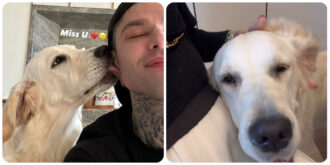 Copertina di Fedez soffre la mancanza di Paloma e Chiara Ferragni gli manda un segnale di affetto. Si riaccendono le speranze