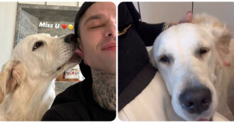 Copertina di Fedez soffre la mancanza di Paloma e Chiara Ferragni gli manda un segnale di affetto. Si riaccendono le speranze