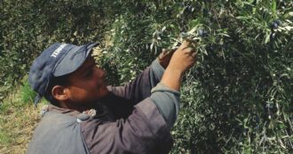 Copertina di Dal Centro d’accoglienza ai campi per 97 cent l’ora