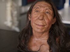 Copertina di Ricostruita per la prima volta la faccia di una donna di Neanderthal: ecco il volto di Shanidar Z