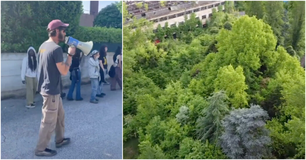 11mila metri di quadrati di parco cancellati per fare posto al cantiere Tav: così Vicenza rischia di perdere il suo polmone verde