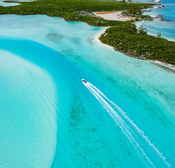 Bahamas, avventure naturalistiche nel cuore dei tropici