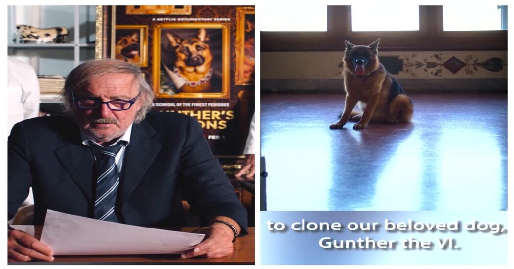 Il cane più ricco del mondo potrebbe essere presto clonato: l’annuncio sui social di Günther VI