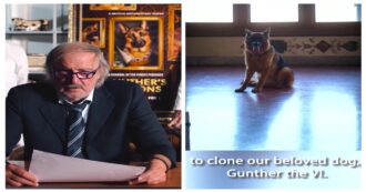 Copertina di Il cane più ricco del mondo potrebbe essere presto clonato: l’annuncio sui social di Günther VI