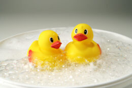 Copertina di Centinaia di paperelle di plastica rilasciate nel fiume Gapeau: la gara annuale preoccupa gli ambientalisti