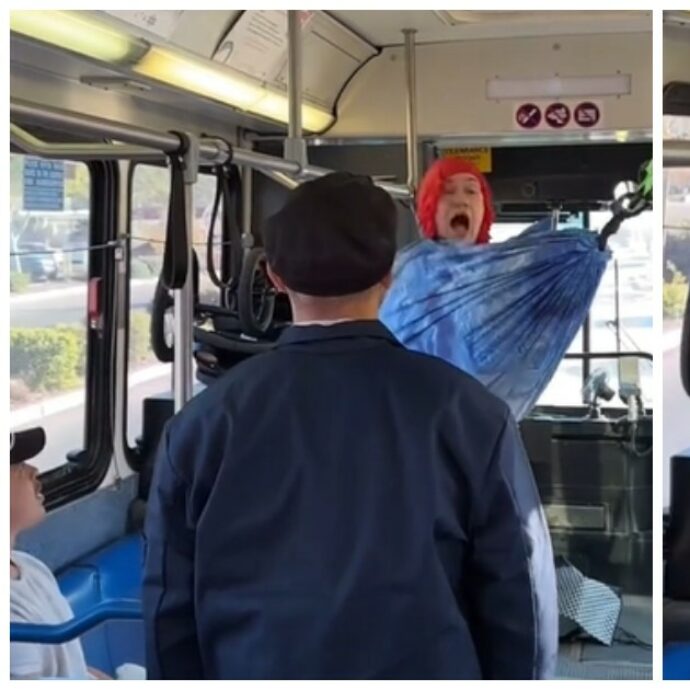 Scena assurda su un autobus di linea: uomo rifiuta di scendere dall’amaca e l’autista ferma il veicolo – VIDEO