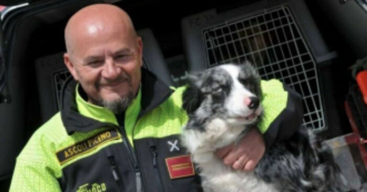 È morta Galassia, la cagnolina-eroe dei vigili del fuoco: dai terremoti a al Ponte Morandi, ha salvato 4 vite