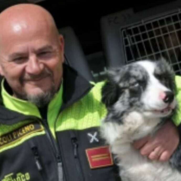 È morta Galassia, la cagnolina-eroe dei vigili del fuoco: dai terremoti a al Ponte Morandi, ha salvato 4 vite