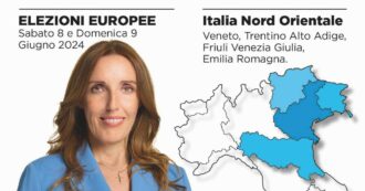Copertina di Elezioni europee, donne FdI tolgono Meloni dai santini (per non essere penalizzate dalle preferenze)
