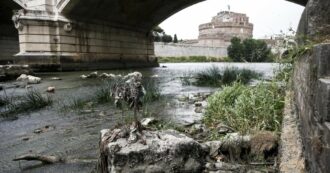 Copertina di Roma, ragazzo 29enne muore dopo essere precipitato da un muretto sul Lungotevere