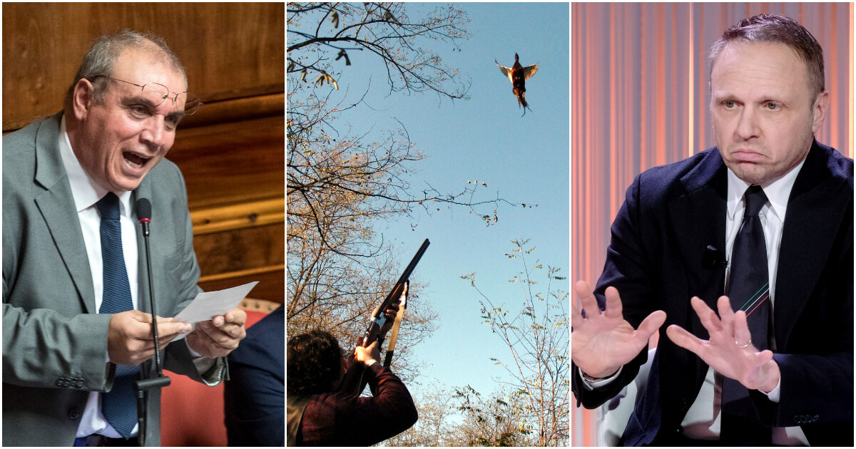 Legge spara-tutto, la petizione sulla caccia supera 50mila firme: dalla pdl alla forzatura in Parlamento. Tutte le tappe