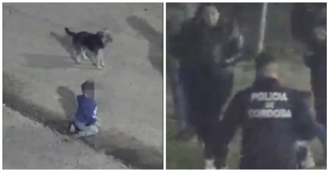 Bambino scappa da casa di notte con il suo cagnolino che non lo abbandona un attimo (e grazie al quale è stato ritrovato)