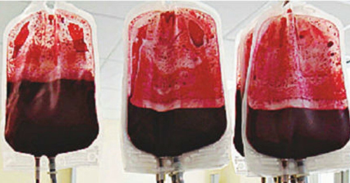 Infected blood scandal, the investigation that shakes London: “Cover-ups to cover system errors”