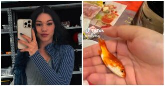 Copertina di Maria Esposito, il video con i maltrattamenti ad un pesce rosso scatena le polemiche: “Lo sta facendo soffocare”
