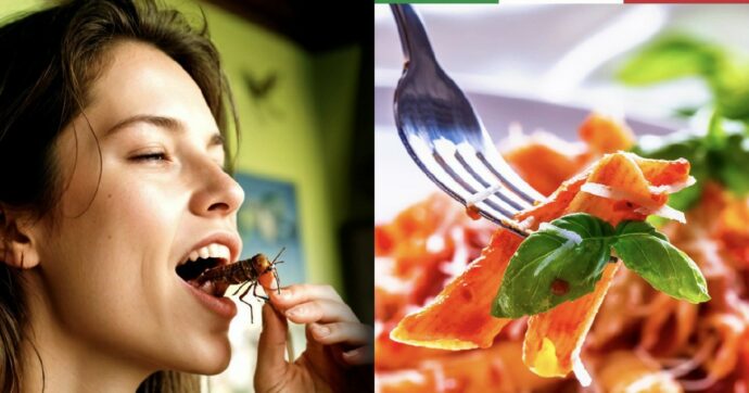 La tragicommedia di Salvini: dalla Bestia al meme vivente