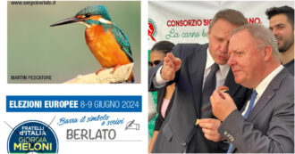 Copertina di Sergio Berlato, foto di specie protette sui santini elettorali: così il candidato cacciatore di FdI strizza l’occhio al mondo venatorio