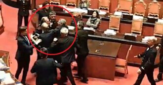 Copertina di Rissa sfiorata in Senato tra Menia (FdI) e Croatti (M5s), i commessi li dividono: seduta sospesa. Il video del parapiglia