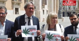 Copertina di Cannabis, presidio contro l’emendamento della Lega che prevede il carcere per chi usa l’immagine della foglia. Bonelli: “Arrestateci tutti”