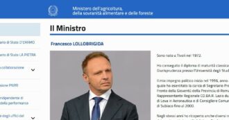 Copertina di Lollo, le foto sul sito non pagate. “Prese da un account del M5S”