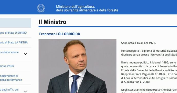 Copertina di Lollo, le foto sul sito non pagate. “Prese da un account del M5S”