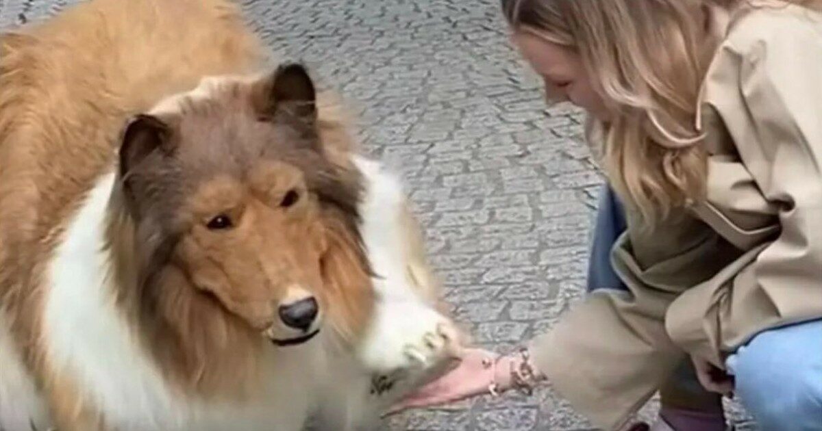 L’uomo che si è trasformato in un cane ha deciso di cambiare vita: “Potrei diventare un panda o un orso”