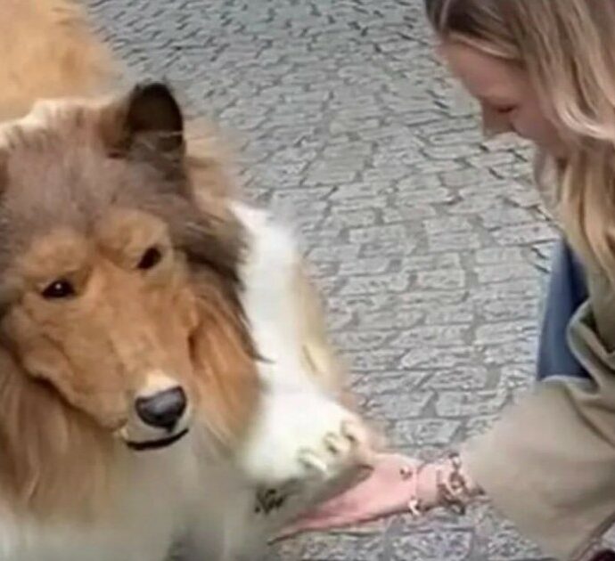 L’uomo che si è trasformato in un cane ha deciso di cambiare vita: “Potrei diventare un panda o un orso”