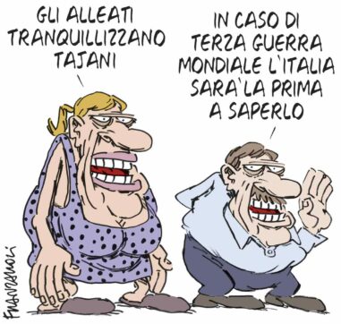 Copertina di La vignetta di franzaroli