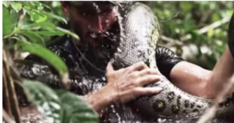 Copertina di Attivista si fa mangiare vivo da un’anaconda: “L’ultima cosa che ricordo è stata la sua bocca spalancata e tutto è diventato nero. Così mi sono salvato”