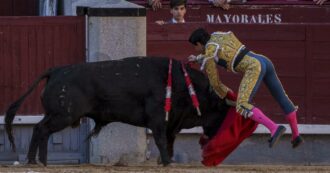 Copertina di Il toro incorna il toreador: paura alla corrida di Madrid