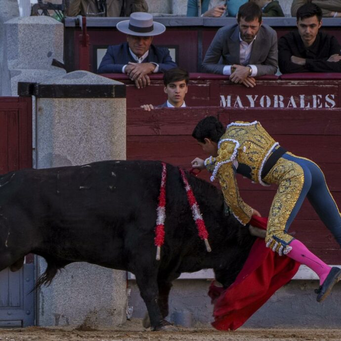 Il toro incorna il toreador: paura alla corrida di Madrid